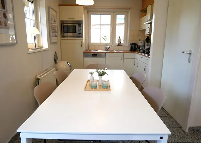 Lachmöwe * Sint Maartensvlotbrug