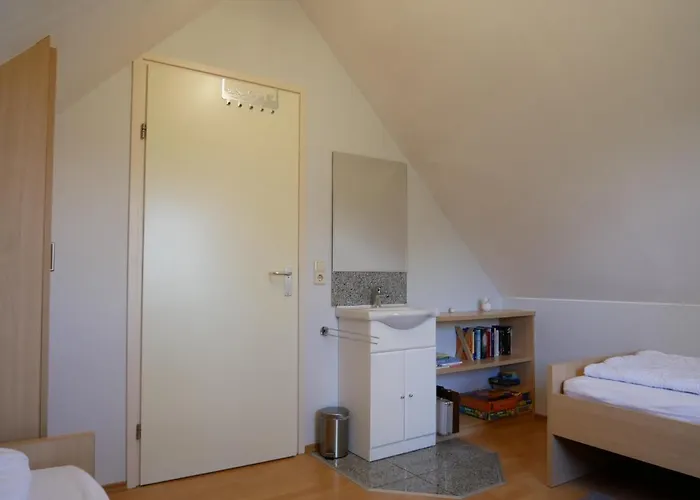 Lachmöwe * Sint Maartensvlotbrug