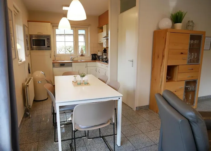 Lachmöwe * Sint Maartensvlotbrug