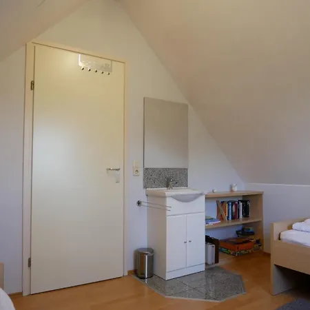 Lachmöwe * Sint Maartensvlotbrug