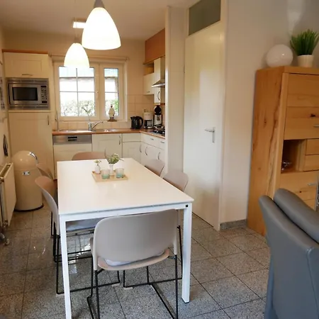 Lachmöwe * Sint Maartensvlotbrug