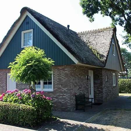 Willa Lachmoewe *