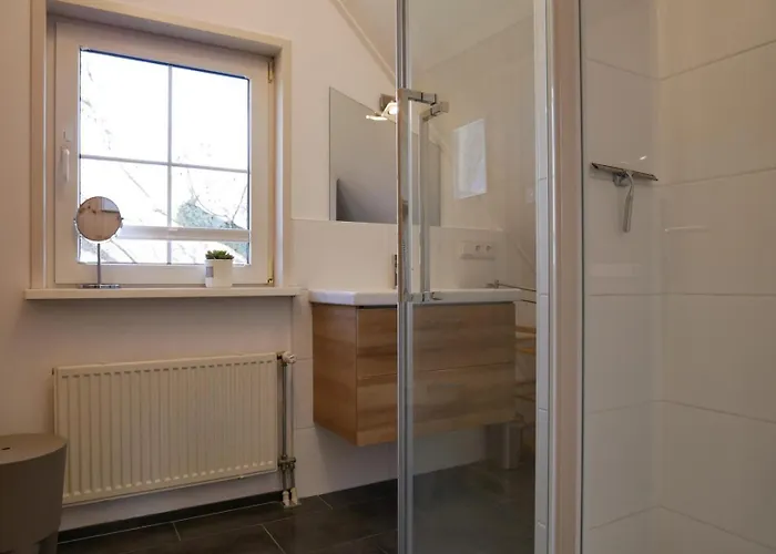 Lachmoewe Sint Maartensvlotbrug